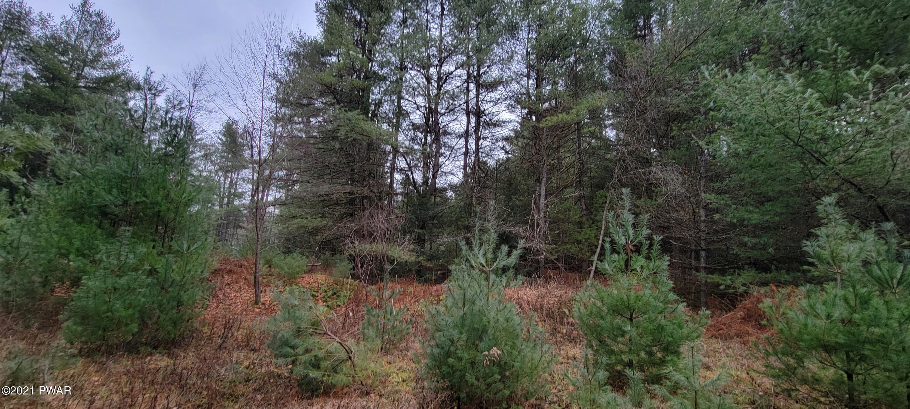 Lot 43 Swamp Pond Road Narrowsburg, NY 12764 - Photo 10 of 13