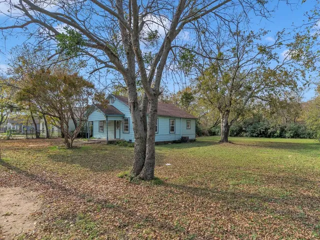 a tree in the middle of a field