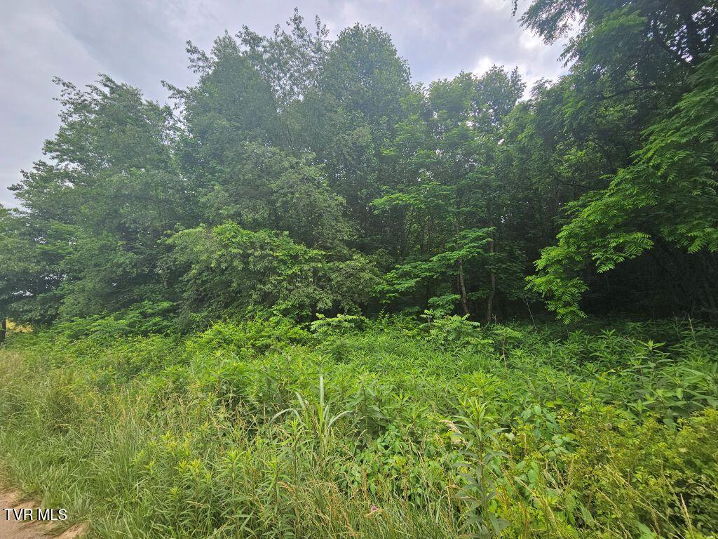 Lot 4 Widener Valley Road, Unit 4 Damascus, VA 24236 - Photo 11 of 12 11