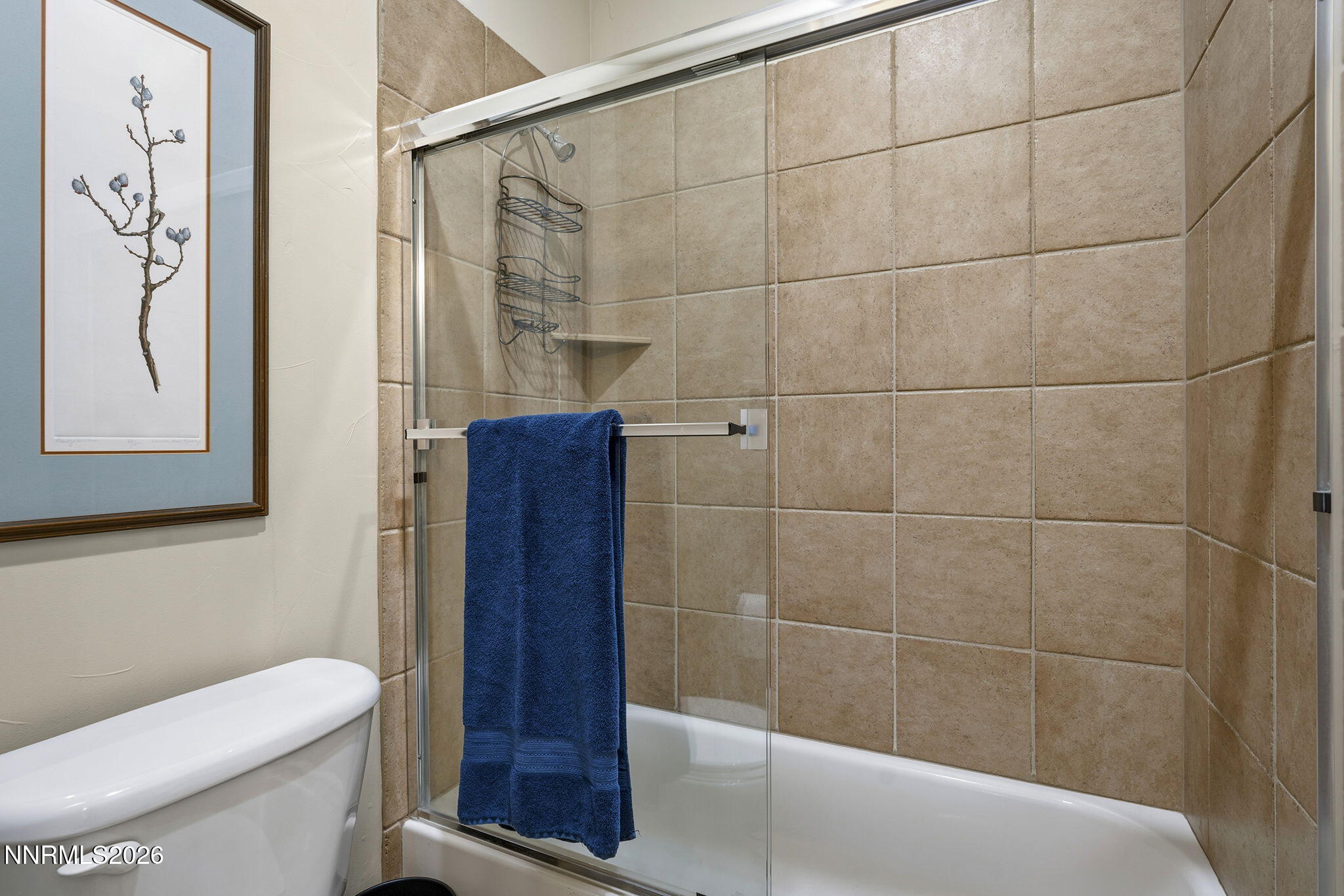 10047 Cascade Falls Drive Reno, NV 89521 - Photo 26 of 32 26-web-or-mls-_DSC6088