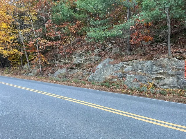 a view of a room with a tree