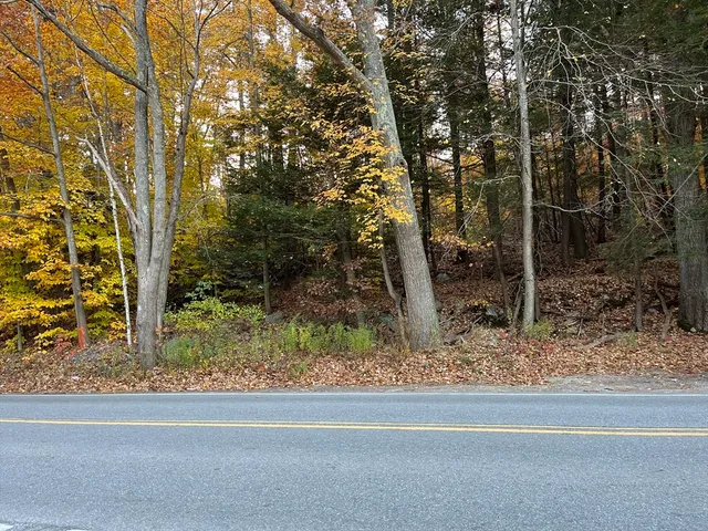 a view of a yard with large trees