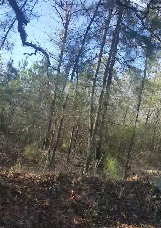 0 New Roads Road Natchitoches, LA 71457 - Photo 1 of 2 Gallery Image 1