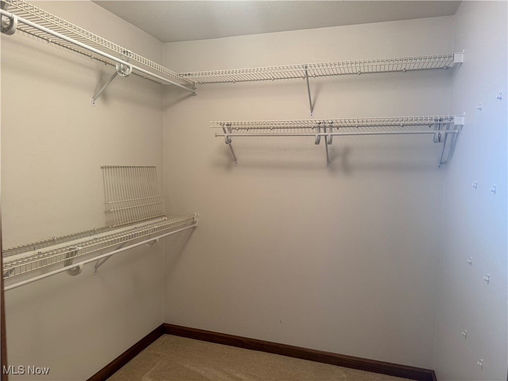 6442 Peck Road Ravenna, OH 44266 - Photo 13 of 24 Spacious walk in closet
