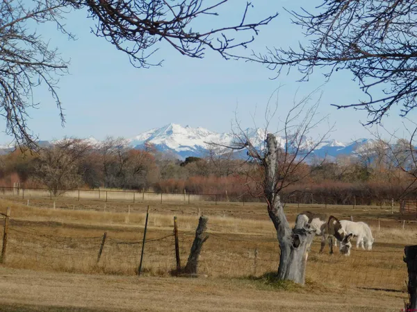 a view of a house with a road