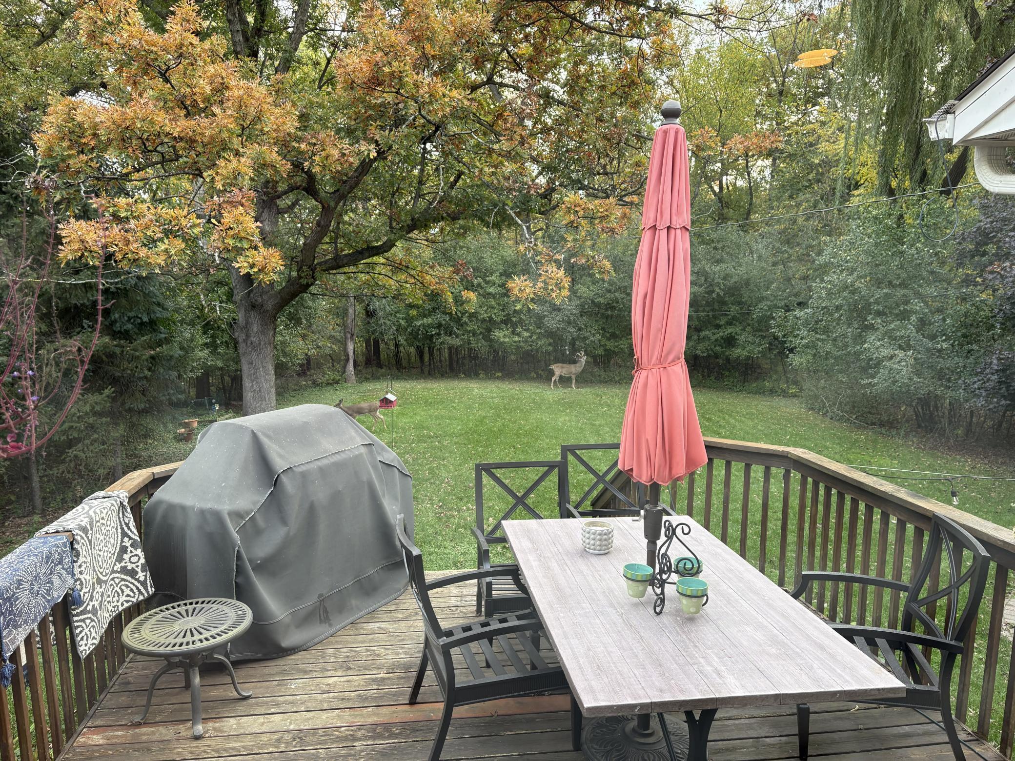 4713 Fairhills Road West Minnetonka, MN 55345 - Photo 36 of 50