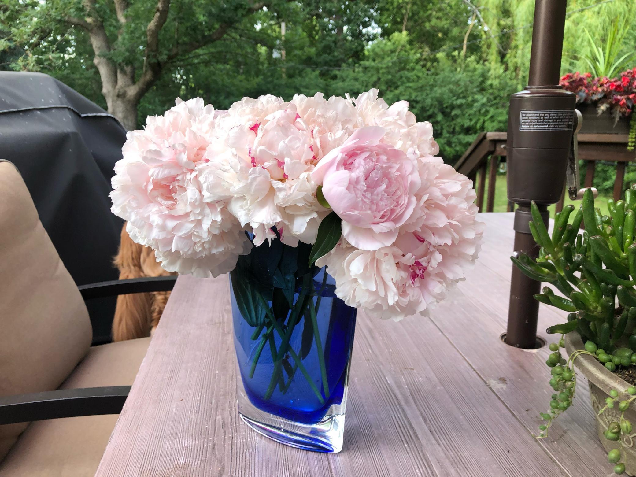 4713 Fairhills Road West Minnetonka, MN 55345 - Photo 37 of 50