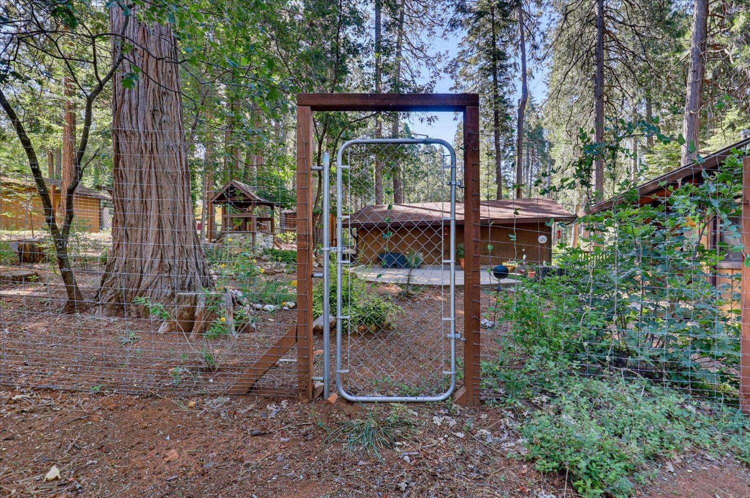 12692 Red Dog Road Nevada City, CA 95959 - Photo 42 of 43