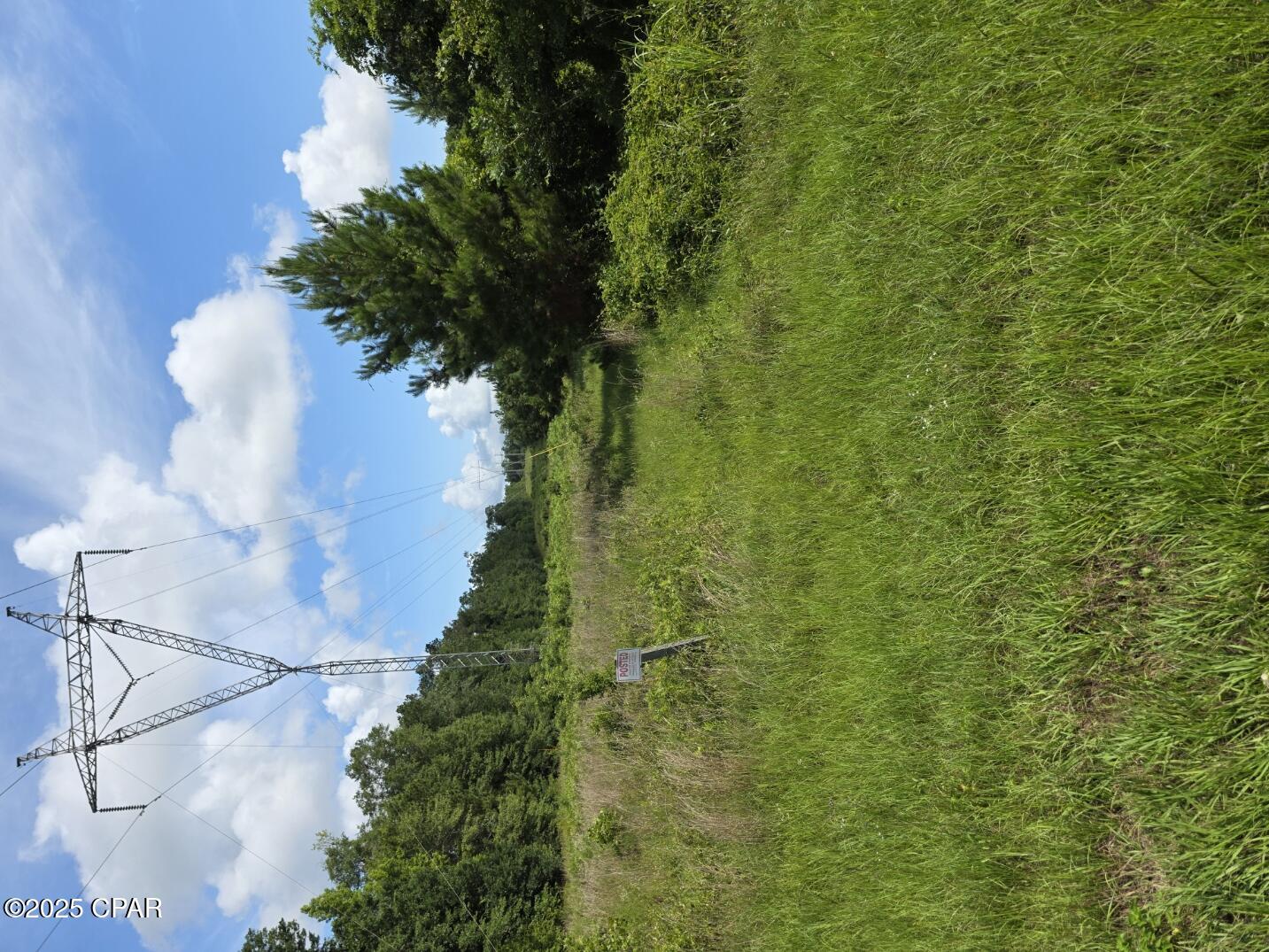 0 Donald Road Sneads, FL 32460 - Photo 2 of 6