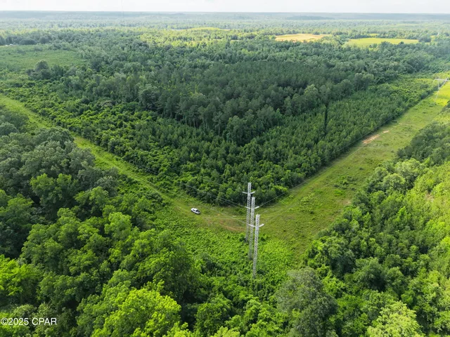 $195,000 | 0 Donald Road, Sneads, FL 32460