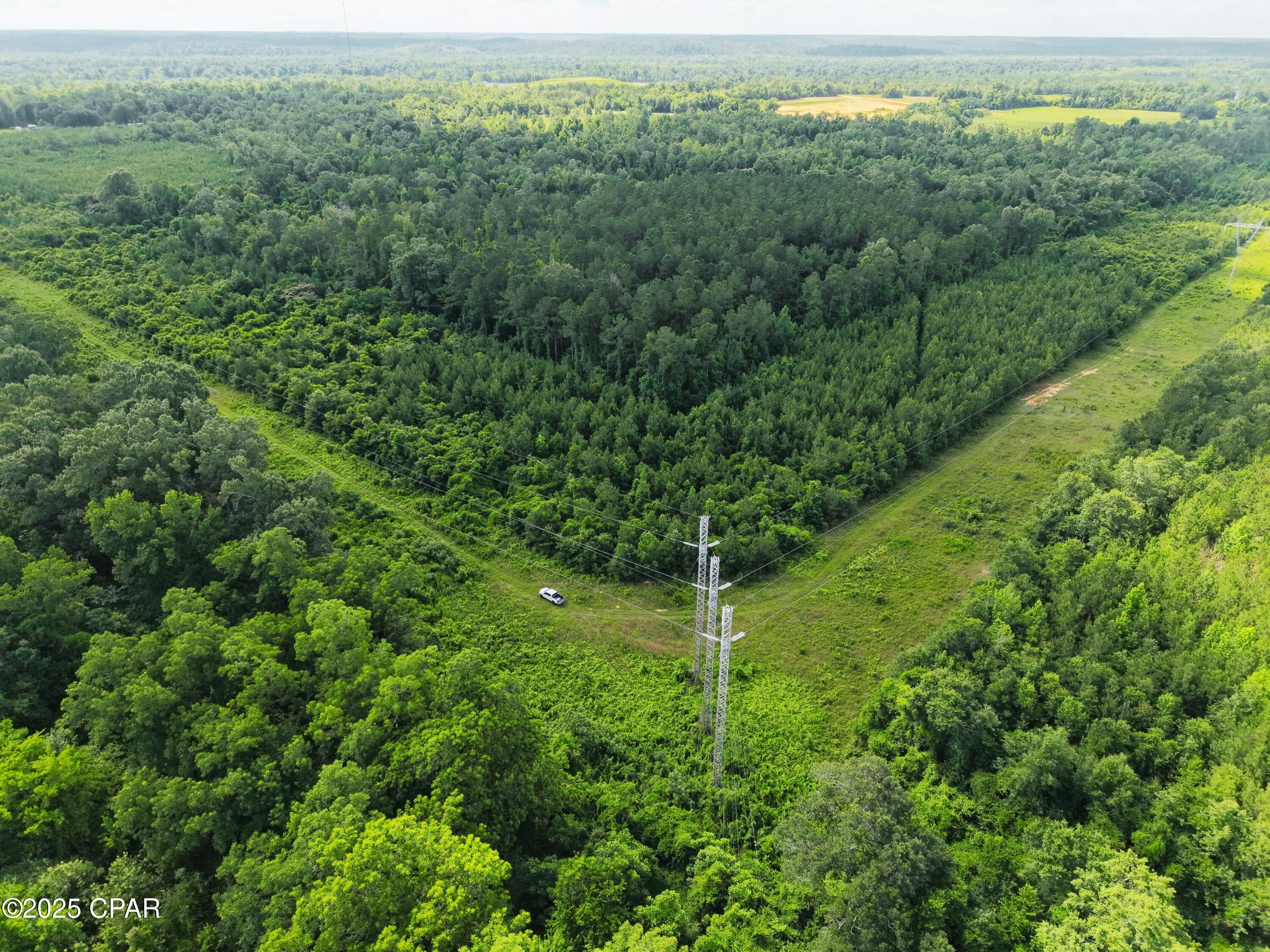 0 Donald Road Sneads, FL 32460 - Photo 3 of 6