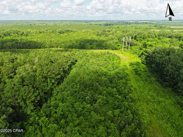 $195,000 | 0 Donald Road, Sneads, FL 32460