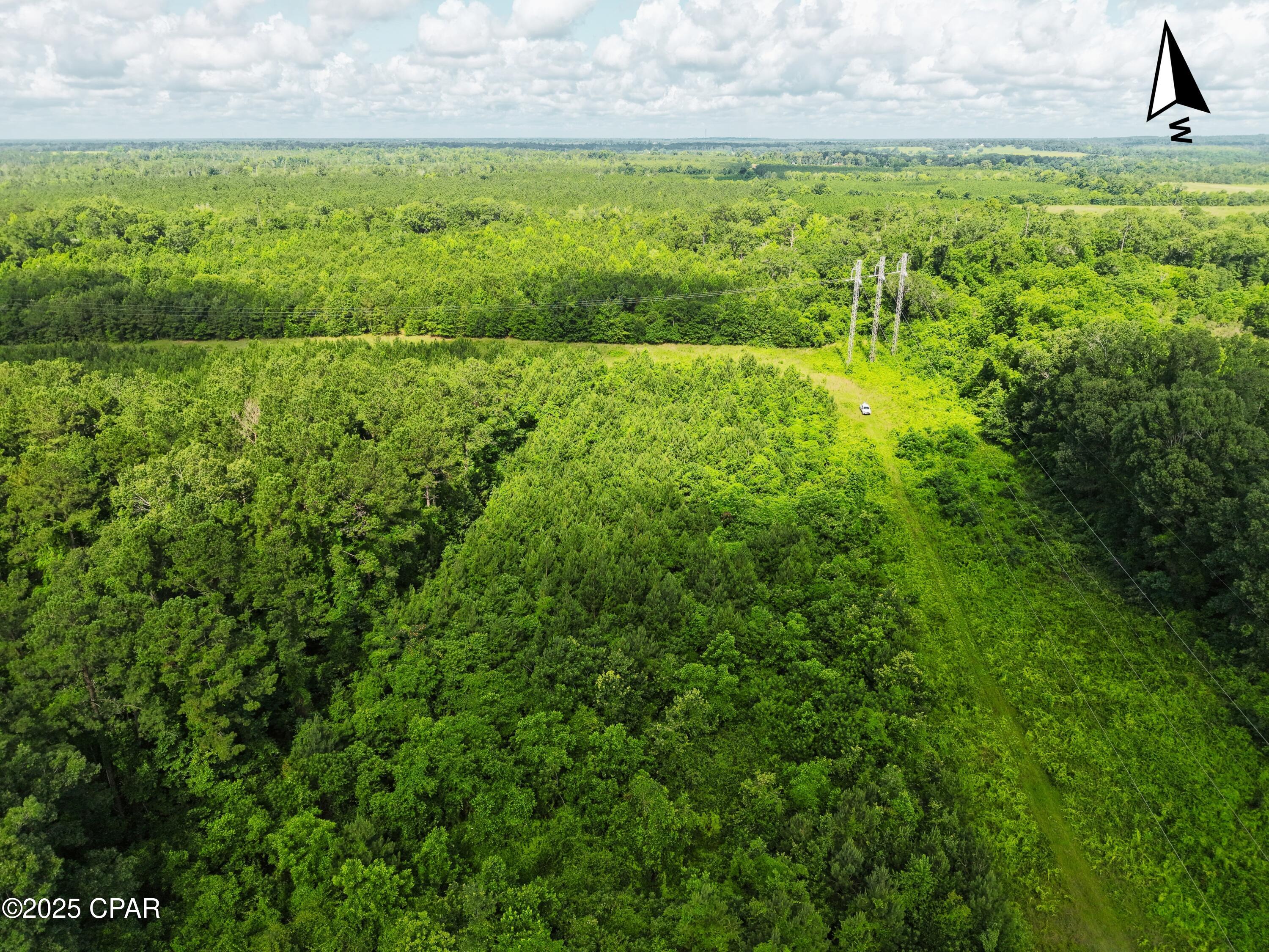 0 Donald Road Sneads, FL 32460 - Photo 4 of 6