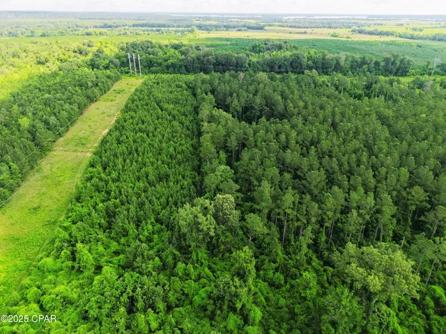 $195,000 | 0 Donald Road, Sneads, FL 32460