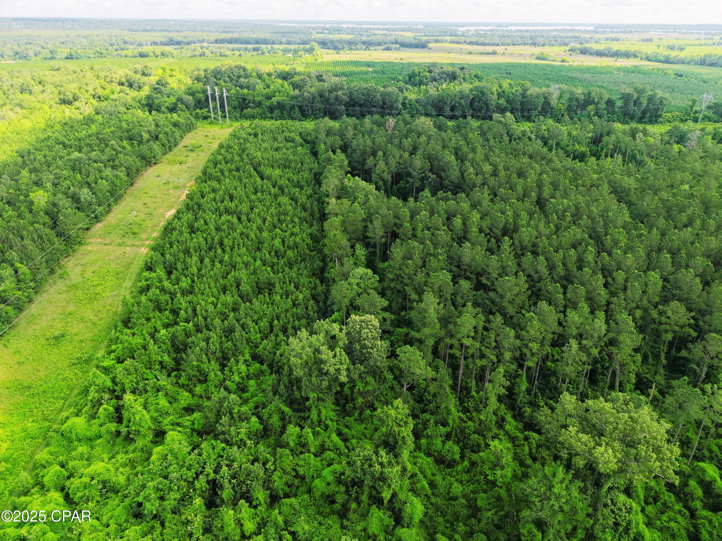 0 Donald Road Sneads, FL 32460 - Photo 5 of 6