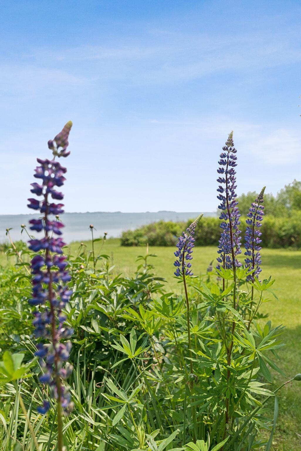 184 John Small Road Chebeague Island, ME 04017 - Photo 42 of 48 68_DSC03404