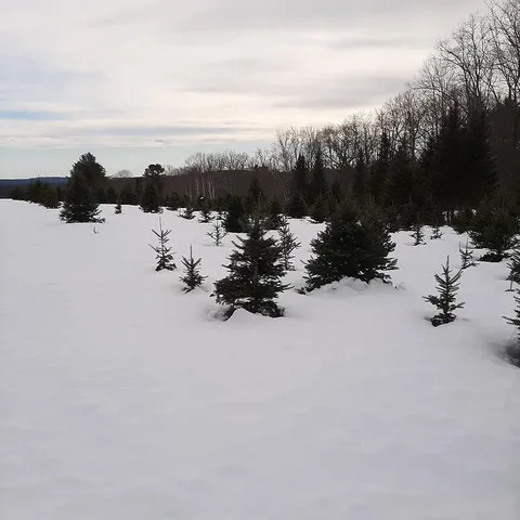 $749,000 | 159 Moose Hill Road, Fayette, ME 04349