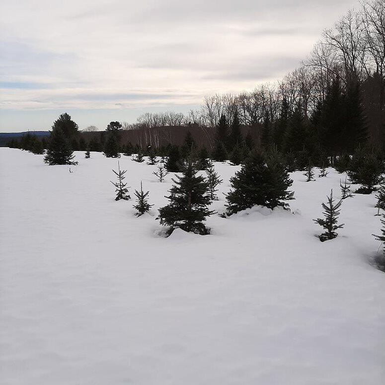 159 Moose Hill Road Fayette, ME 04349 - Photo 64 of 79 a3a8e535-c9de-48f9-b958-627448f37e24