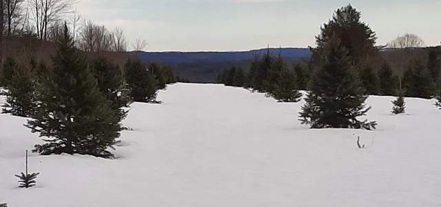 $749,000 | 159 Moose Hill Road, Fayette, ME 04349