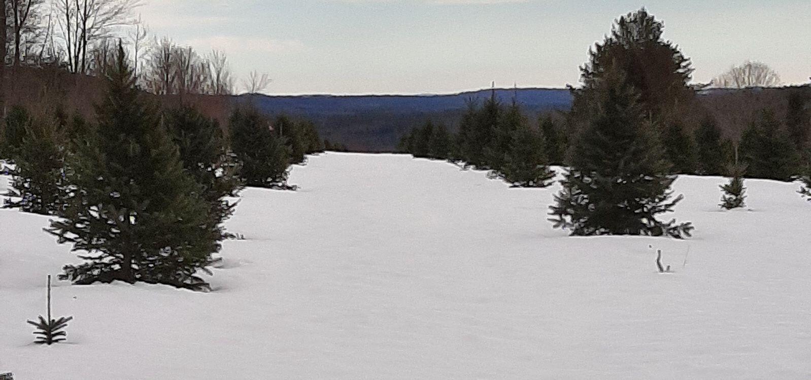 159 Moose Hill Road Fayette, ME 04349 - Photo 65 of 79 a7a4c8dd-be5f-4425-a0bf-5fcdf3cc46f1