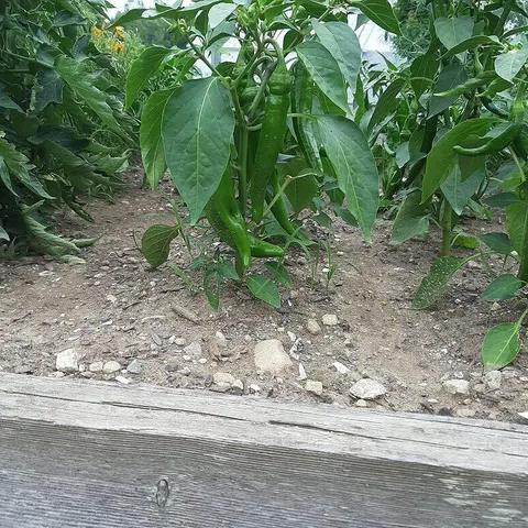 $749,000 | 159 Moose Hill Road, Fayette, ME 04349