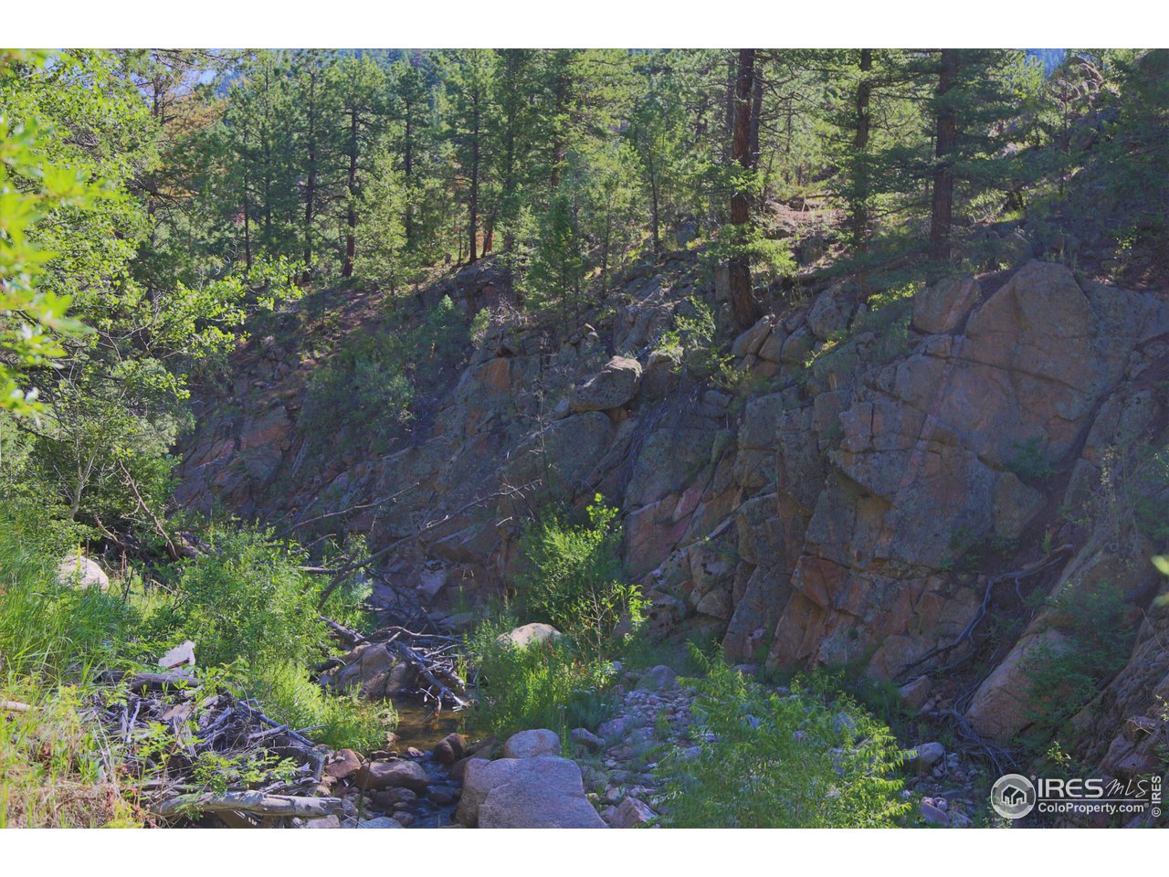 9648 Highway 36 Lyons, CO 80540 - Photo 11 of 31 a view of outdoor space and green space