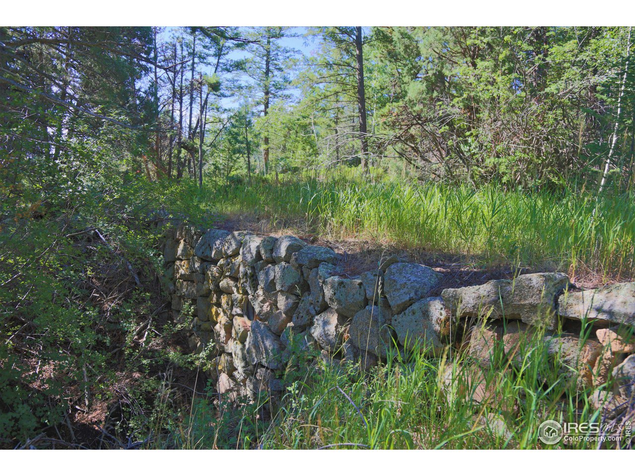 9648 Highway 36 Lyons, CO 80540 - Photo 13 of 31 a view of outdoor space and city view