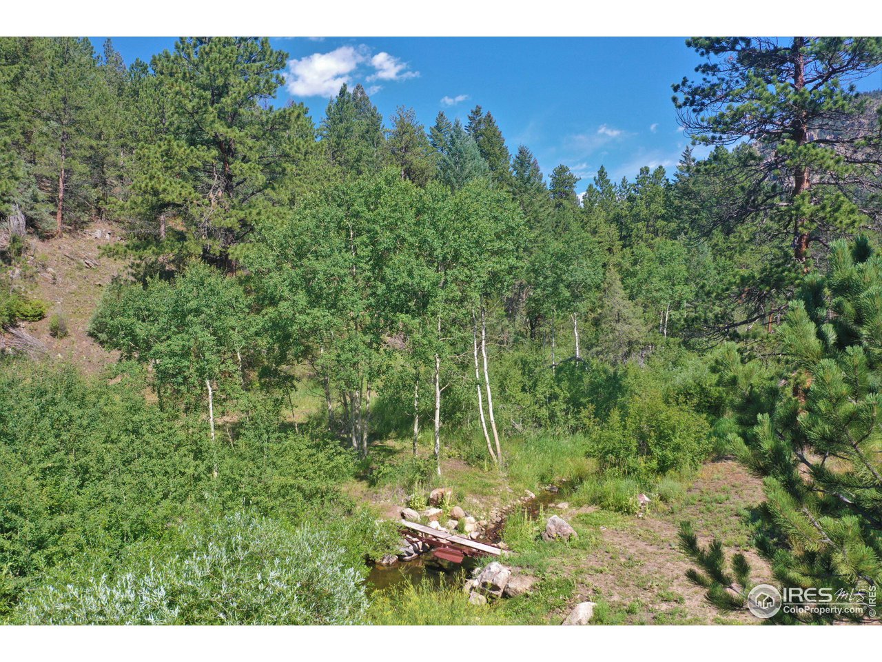 9648 Highway 36 Lyons, CO 80540 - Photo 23 of 31 a view of a lush green forest