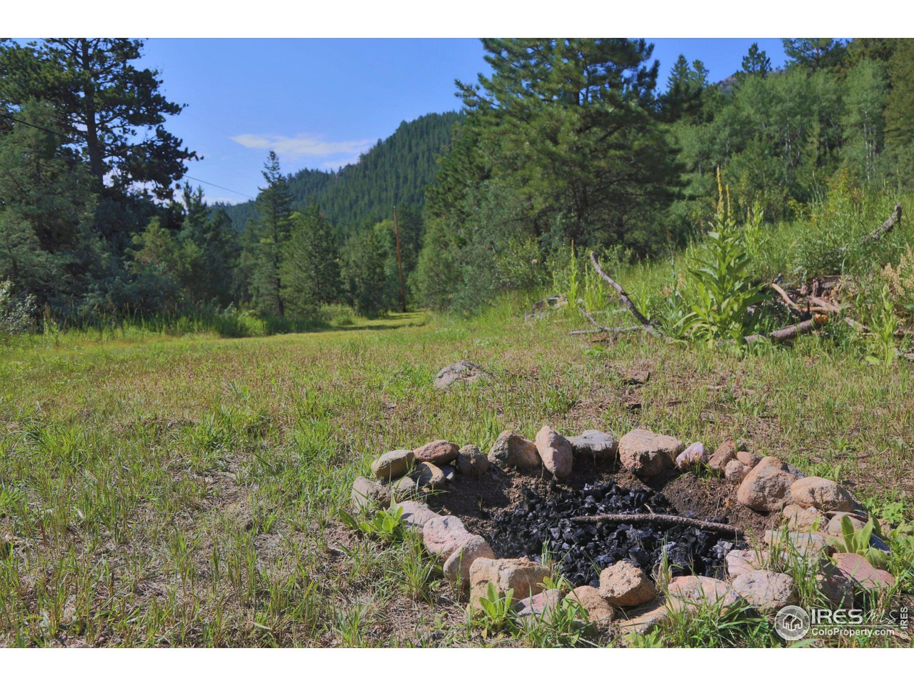 9648 Highway 36 Lyons, CO 80540 - Photo 25 of 31 a view of backyard with outdoor space and trees
