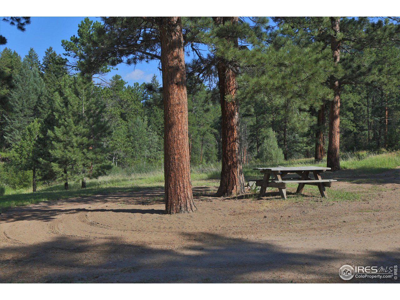 9648 Highway 36 Lyons, CO 80540 - Photo 26 of 31 a view of outdoor space with trees