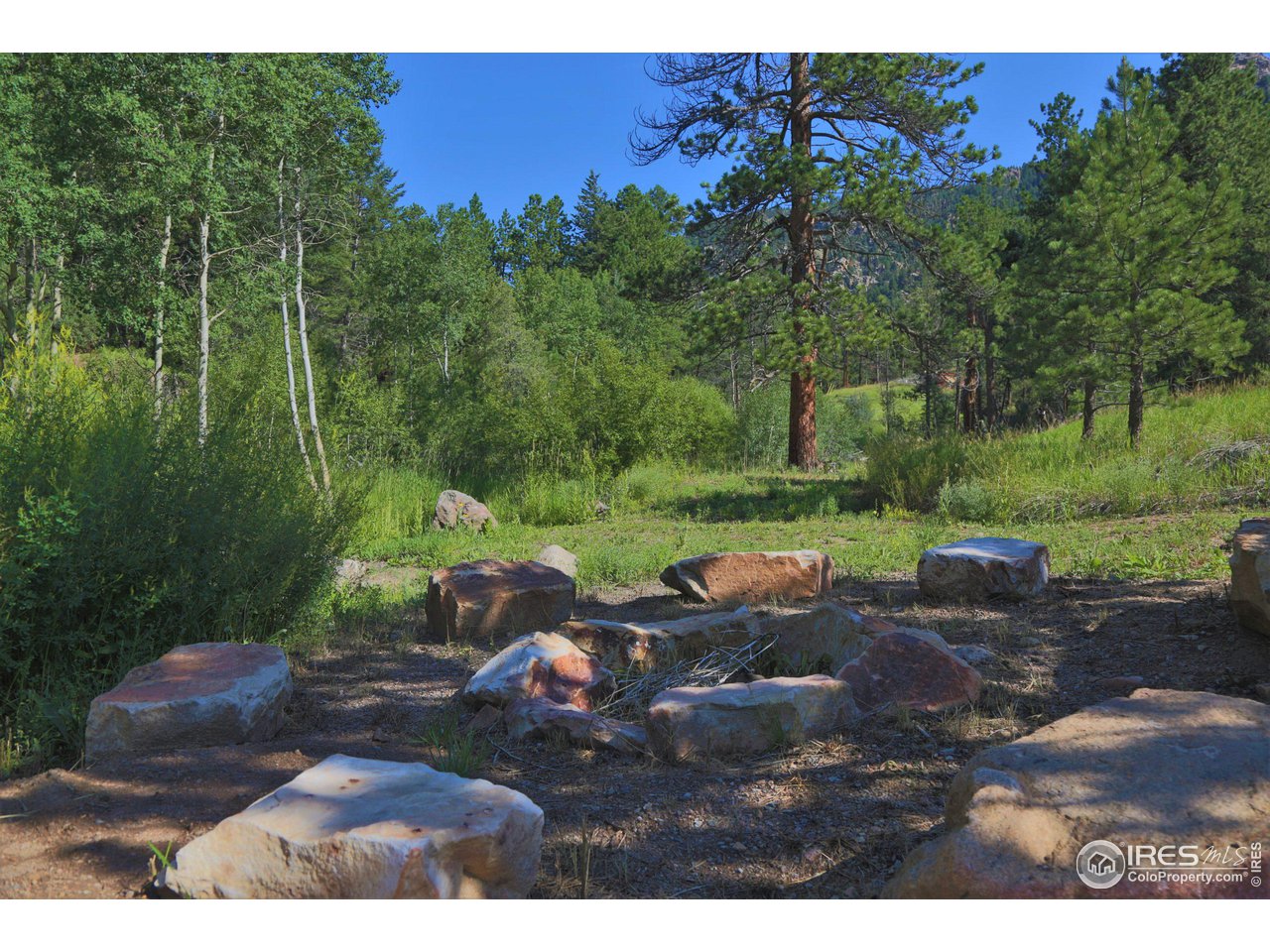 9648 Highway 36 Lyons, CO 80540 - Photo 8 of 31 a view of a park with large trees