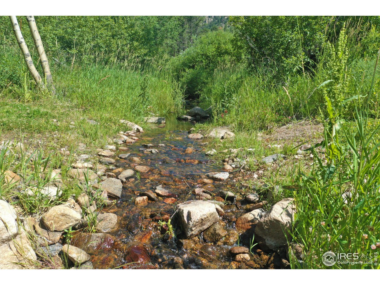 9648 Highway 36 Lyons, CO 80540 - Photo 10 of 31 a view of outdoor space and green view
