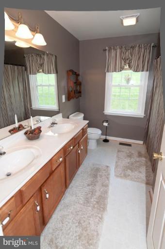 4265 Middlepoint Road Myersville, MD 21773 - Photo 4 of 25 a bathroom with a double vanity sink window and mirror
