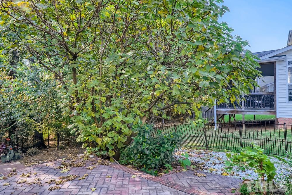 6040 Big Sandy Drive Raleigh, NC 27616 - Photo 24 of 28 a garden view