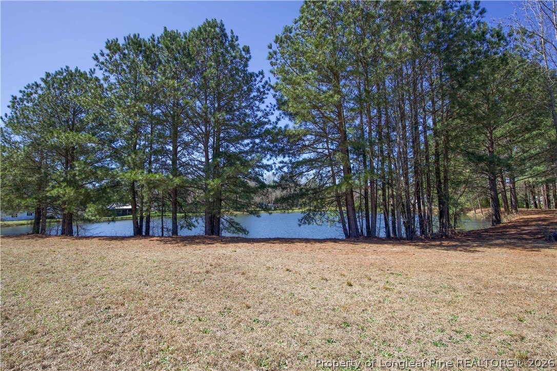 1897 Stanton Hill Road Cameron, NC 28326 - Photo 49 of 50