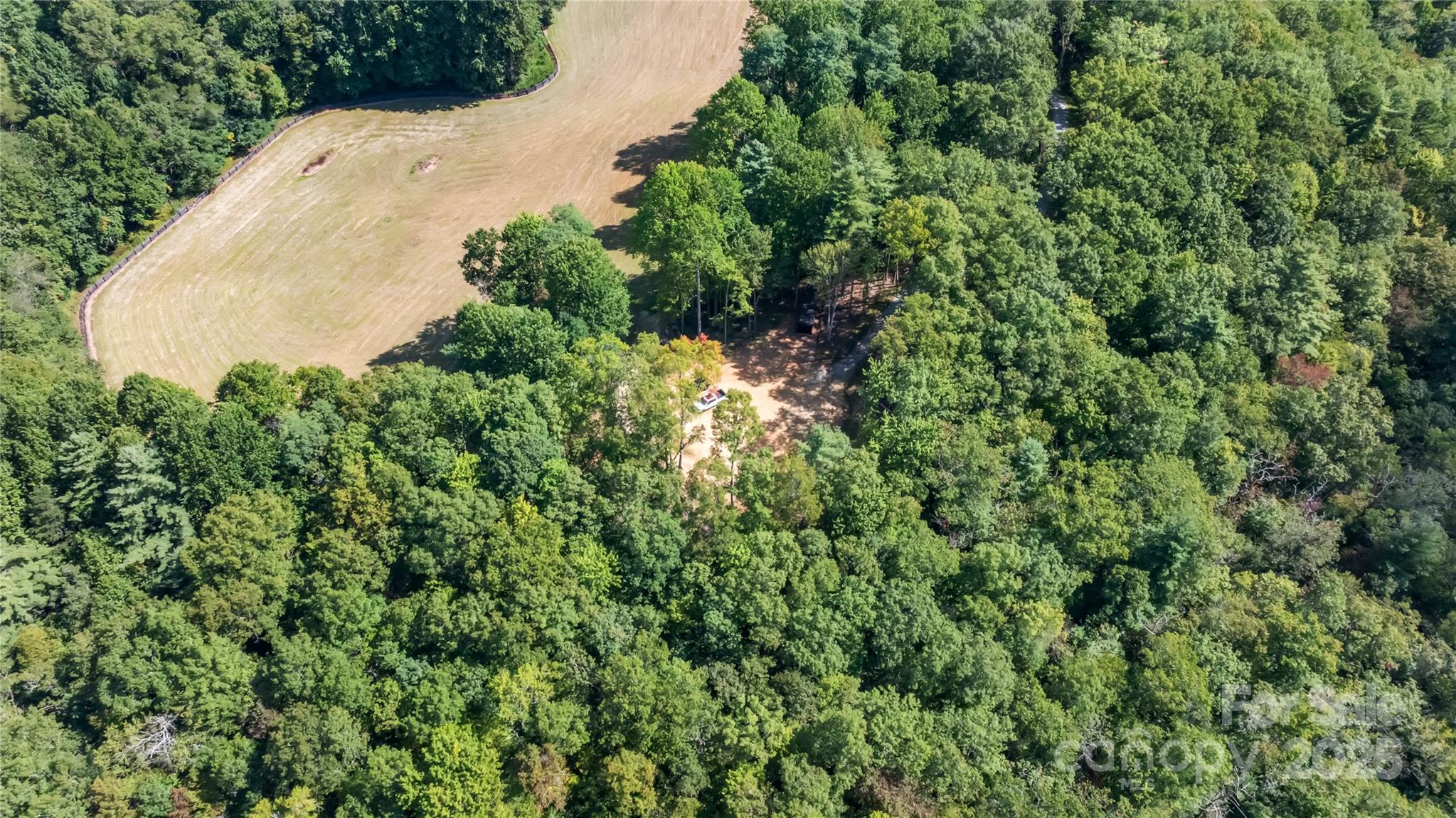 Tbd Slick Fisher Road Lake Toxaway, NC 28747 - Photo 5 of 13 a view of a garden with plants
