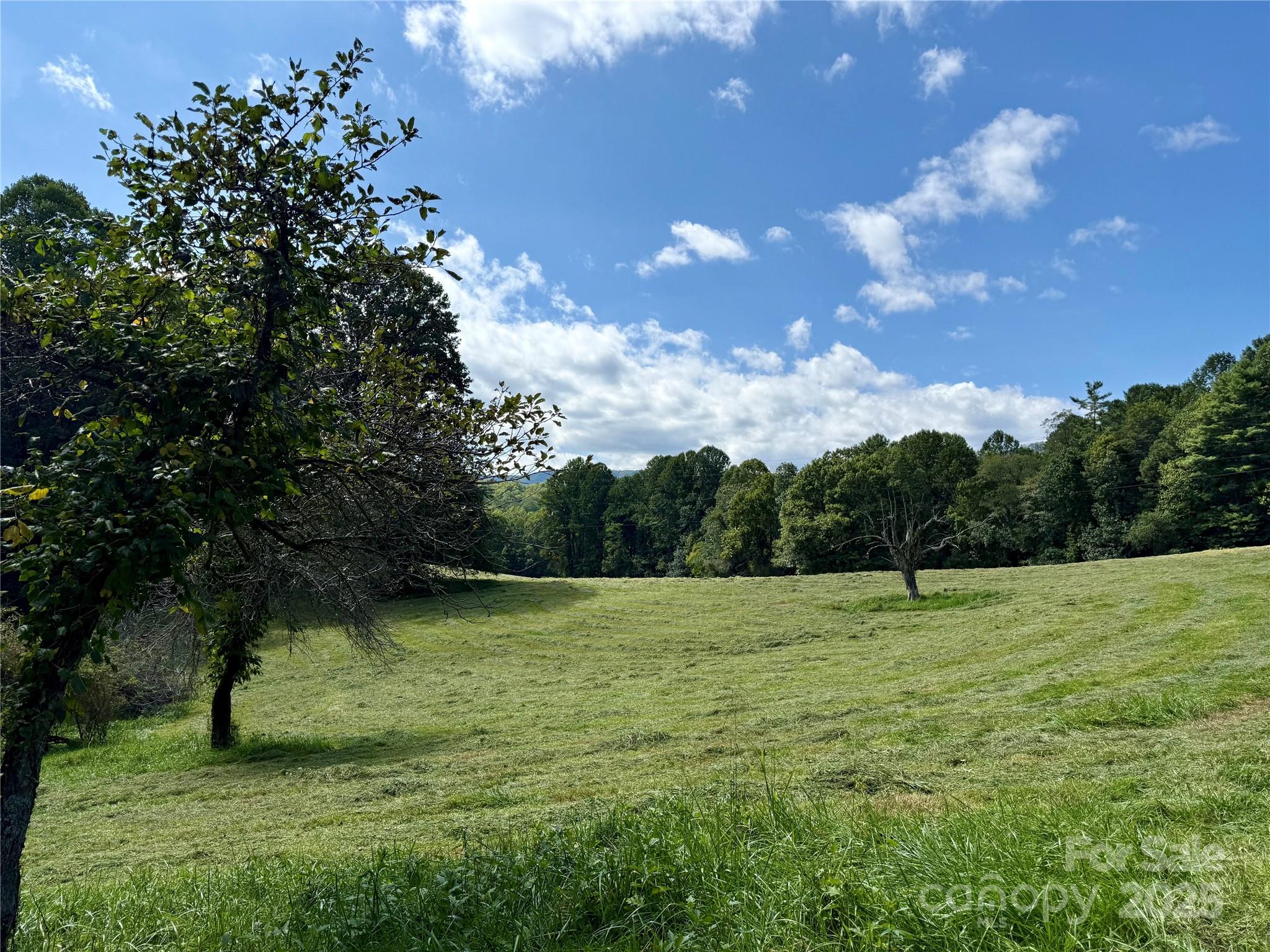 Tbd Slick Fisher Road Lake Toxaway, NC 28747 - Photo 8 of 13 a view of outdoor space with a garden and trees