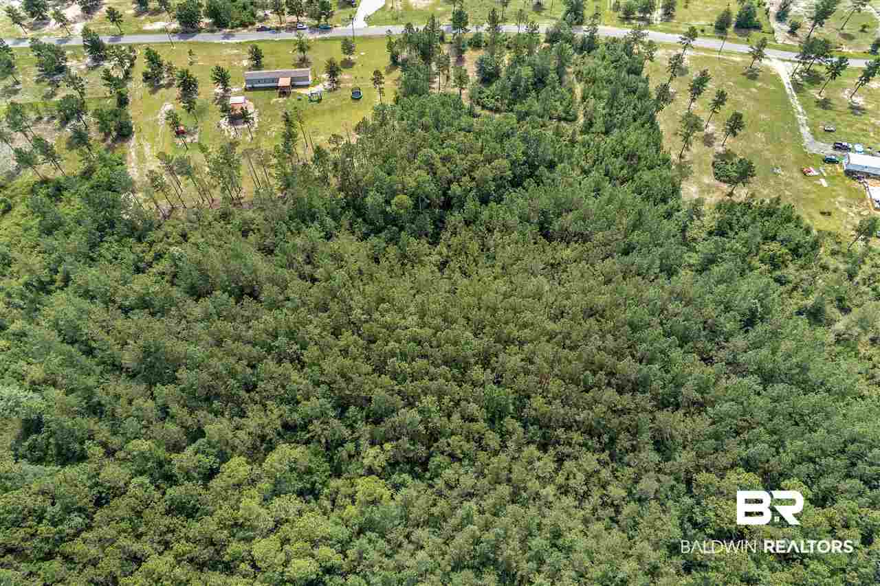 49271 Davis Road Bay Minette, AL 36507 - Photo 3 of 4