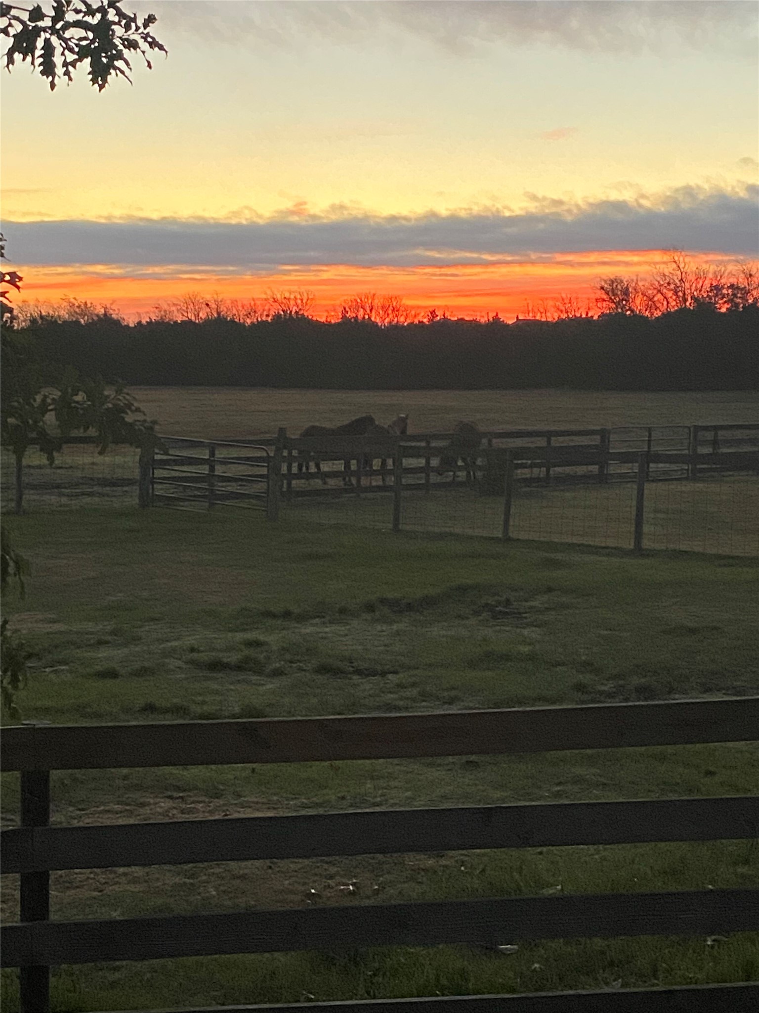 255 Glasscock Road Liberty Hill, TX 78642 - Photo 39 of 39 Pastures at sunset
