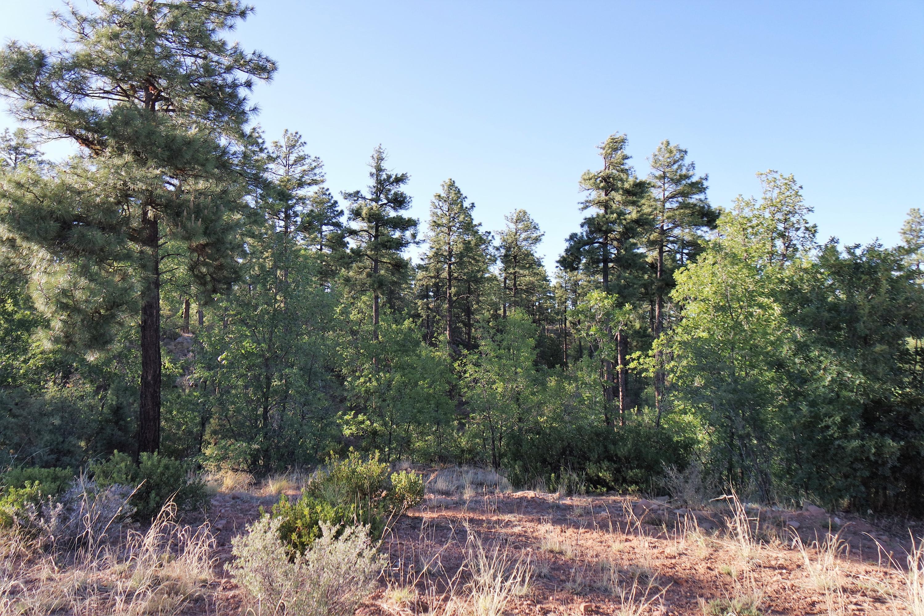 5977 Rim Road Lakeside, AZ 85929 - Photo 1 of 7 Stock Photo