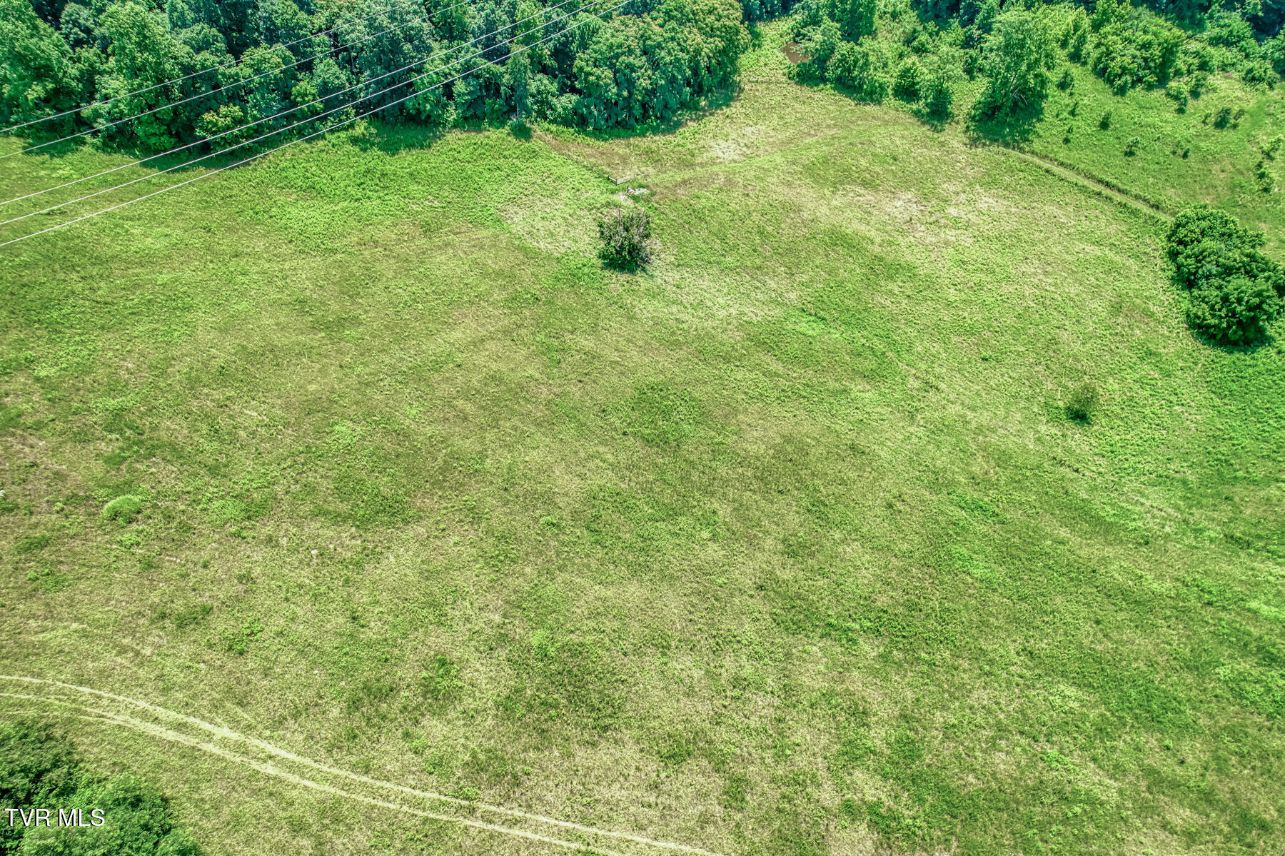 2083 Bundren Mountain Road Tazewell, TN 37879 - Photo 9 of 42 2083 Bundren Mountain Rd-42