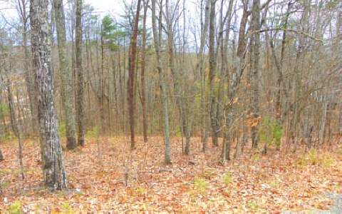 9 A Sunrock Mountain Road Blue Ridge, GA 30513 - Photo 1 of 1 Main View