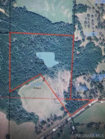 $225,000 | 0 Highway 125, Brundidge, AL 36010