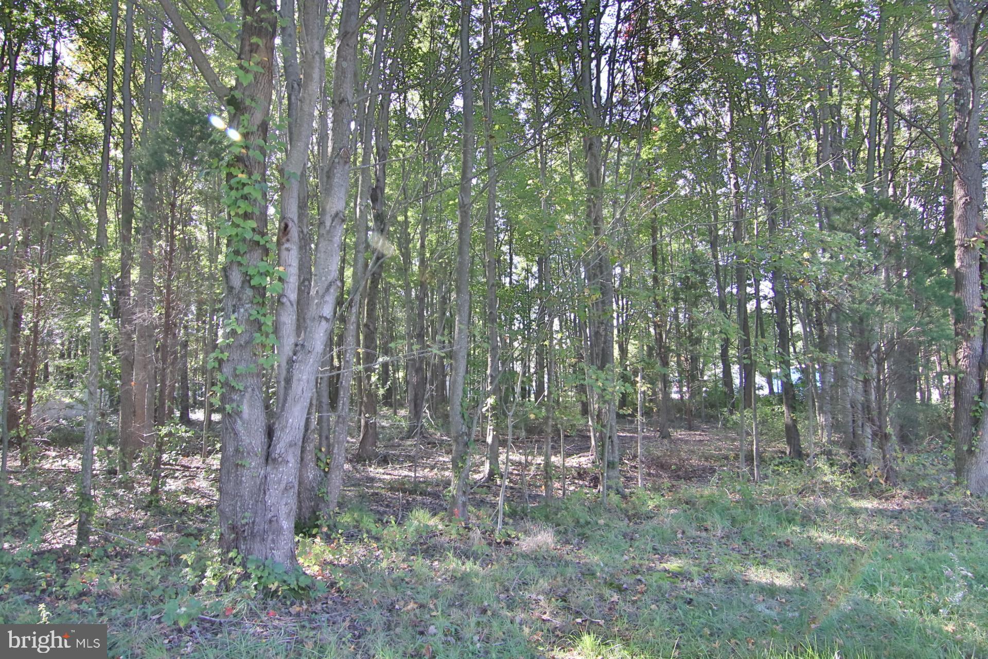 Oregon Road Stevensville, MD 21666 - Photo 1 of 3 View Lot 20 & 22 Oregon Road