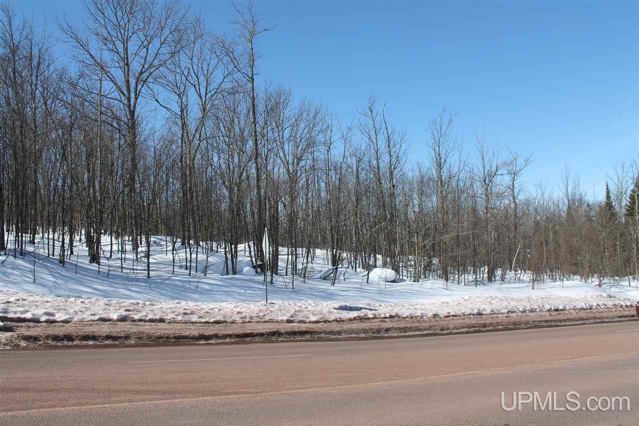 Tbd Powderhorn Road Bessemer, MI 49938 - Photo 3 of 4