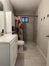 a bathroom with a sink a toilet and shower