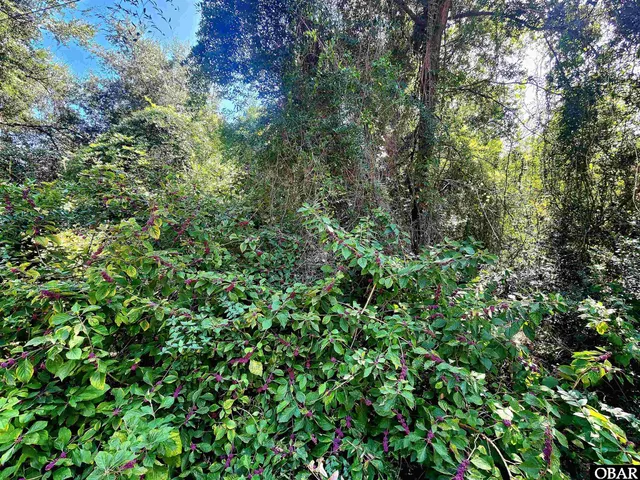 $135,000 | 50265 Timber Trail, Frisco, NC 27920