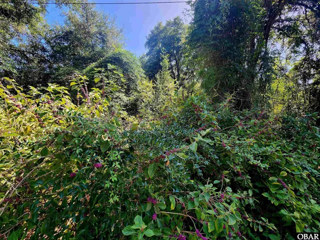 $135,000 | 50265 Timber Trail, Frisco, NC 27920