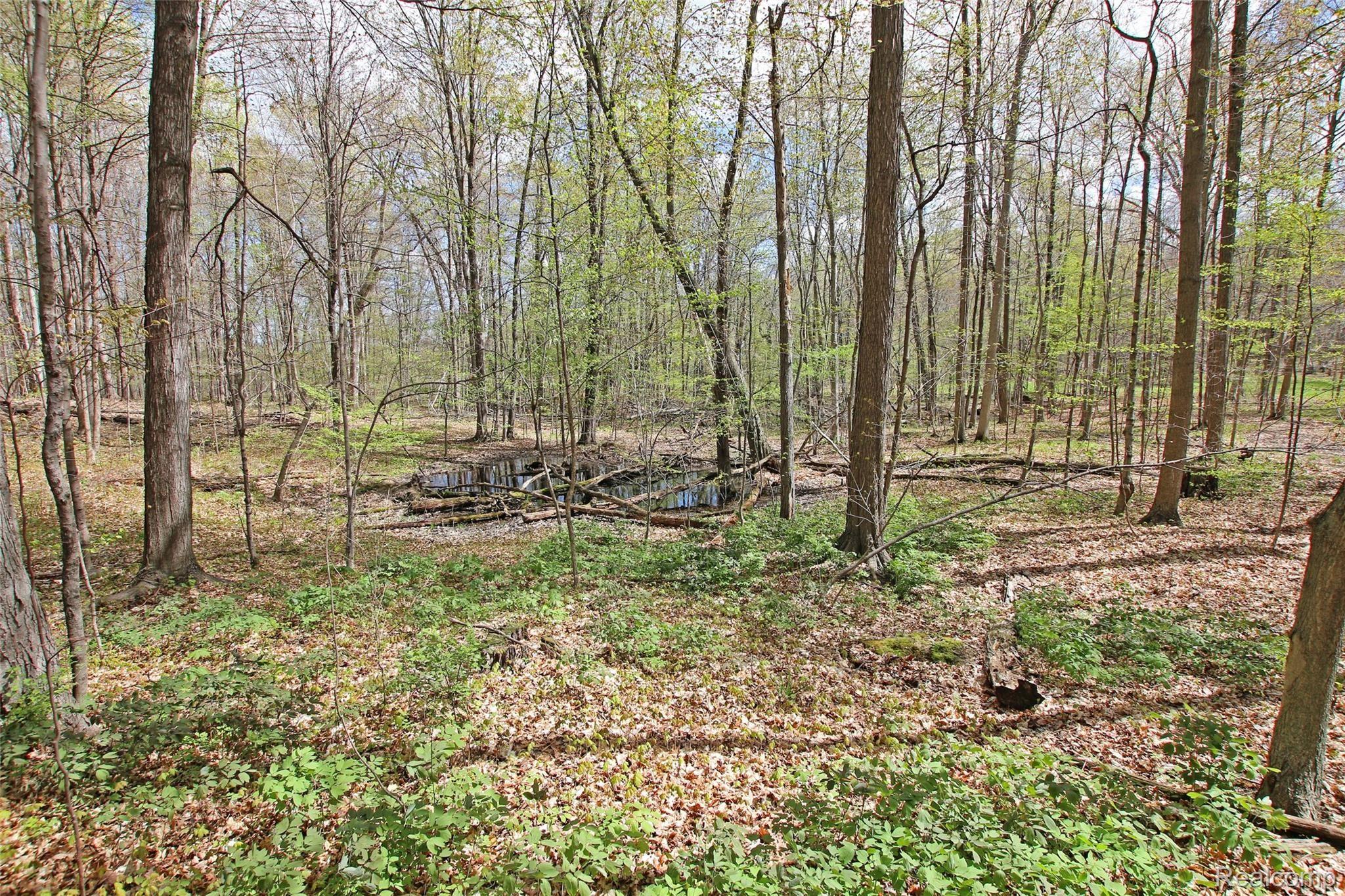 4095 Flint River Road Columbiaville, MI 48421 - Photo 77 of 84 78) Trails.jpg
