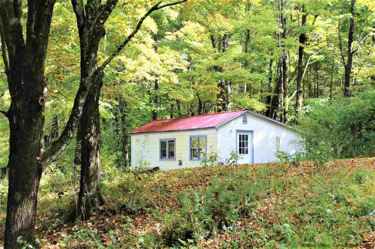 225 Krumville Road Olivebridge, NY 12461 - Photo 2 of 35 Photo 2